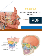 9 - Corregidocabeza Neurocraneo y Viscerocraneo) Uns