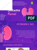 Sistema Renal