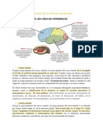 Fisiopatologia de La Epilepsia