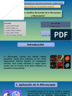 Ensayo de Biologia