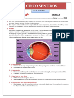 Los Cinco Sentidos para Cuarto de Primaria