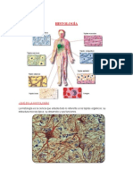 Informe Histologia