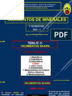 PPT11YACIMIENTOSSKARN