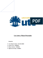Trabajo Final Actos y Plazos Procesales 