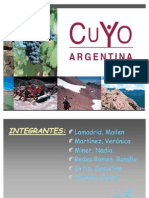 Region Cuyo (Año 2009)