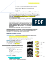 Resumen Primer Parcial Neuro - Revisado