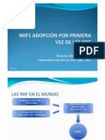 Niif 1