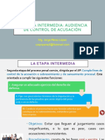 Etapa Intermedia Audiencia de Control de Acusación