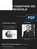 Teorías Cognitivas Del Aprendizaje