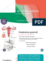 Cancer de Cervix Uterino SR