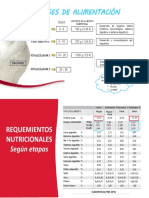 Fases de Alimentación Broiler