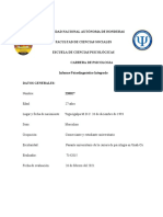 Informe Académico Formato 2