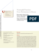 Neutrophil Function - From Mechanisms To Disease