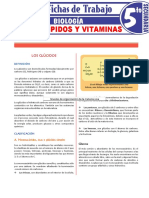 Glucidos Lipidos y Vitaminas para Quinto Grado de Secundaria