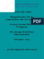 CVI-S3-A1-S (C, I) - Cesar Israel - Nieto - Fragoso.