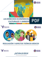 Derechos Economicos, Sociales, Culturales y Ambientales