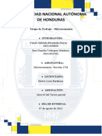 Actividad 2 Tema Ganancias o Perdidas de La Empresa Competitiva (Recuperado Automáticamente)