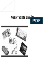 Agentes de Lesão