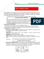 Clasificacion de Los Alimentos para Cuarto de Primaria