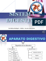 Aparato Digestivo Presentación