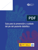 Guia Prevencion Pie Diabetico