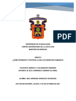 Ensayo.-Cómo Promueve y Protege La ONU Los Derechos Humanos