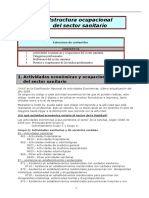 Tema 2. Estructura Ocupacional Del Sector Sanitario. Resumen