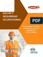 Plan de Salud y Seguridad Ocupacional - Calser