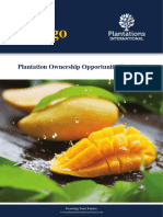 Mango Prospectus