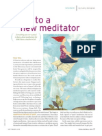 Letter To A New Meditator: Wisdom