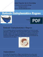 Reticulo Endoplasmático Rugoso