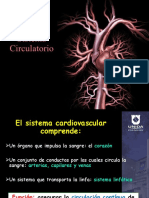 Sistema Cardiovascular