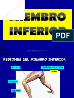 Miembro Inferior