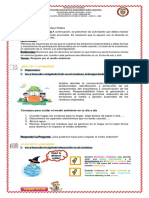 Actividad Semana 7 Grado Sexto Etica y Valores