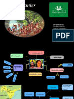 Guaraní Mapa2.0