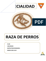 Especialidad de Perros Desarrollado para Intructors o Consejeros