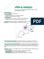 Sistema Nervioso, Generalidades