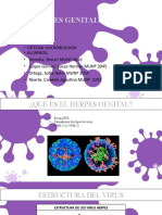 Herpes Genital