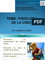 01 - Fisiologia de La Visión