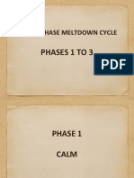 Managing The Cycle of Meltdowns - Session 2 - Revised FINAL