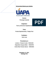 Teoria y Estructura Organizacional - Trabajo Final