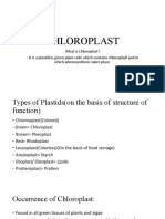 Chloroplast Panabangi