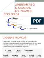 2022 Redes Alimenticias o Troficas