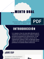 Cemento Dual