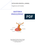 Lectura - Sistema Endocrino