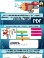 Fisiologia Renal 2022 - Ii - Unat