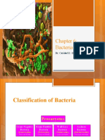 Micro CH 6 Bacteria