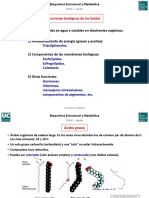 Bioquímica Estructural y Metabólica. Primer Grado de Medicina. Tema 7. Lípidos