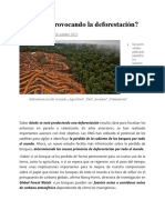 Qué Está Provocando La Deforestación