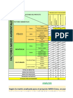 Matriz Leopold 1